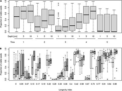 Soil Seed Bank Persistence Across Time and Burial Depth in Calcareous Grassland Habitats